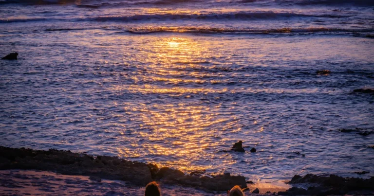 Featured image for Why Meditation Is Important in Our Life 18 Life-Changing Benefits 2026