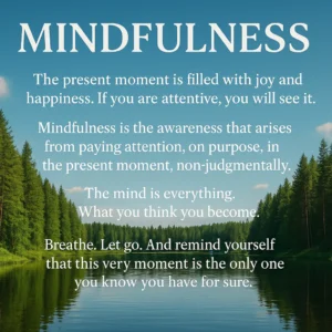 Featured image for 50 Mindfulness Quotes to Transform Your Day 2026